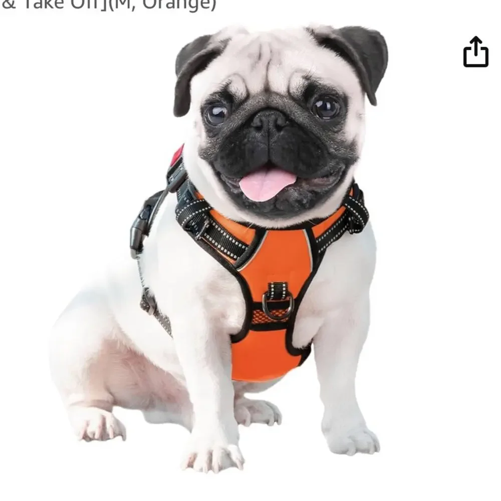 Phoepet Orange No Pull Harness size Medium Easy On and Off